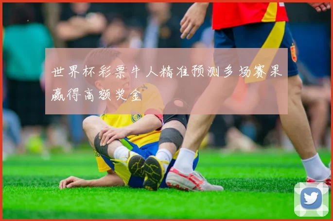 世界杯彩票牛人精准预测多场赛果赢得高额奖金